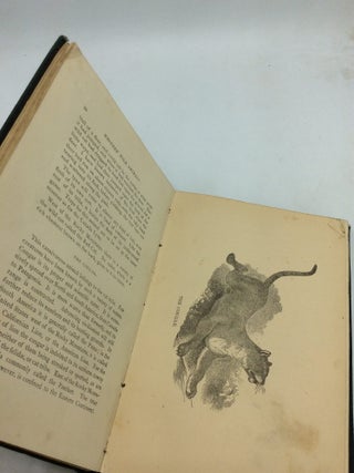NATURAL HISTORY OF WESTERN WILD ANIMALS and Guide for Hunters, Trappers, and Sportsmen; Embracing Observations on the Art of Hunting and Trapping, a Description of the Physical Structure, Homes, and Habits of Fur-Bearing Animals and Others of North America, with General and Specific Rules for Their Capture; also, Narratives of Personal Adventure.