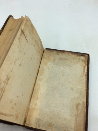 THE MIRROR. In Two Volumes.
