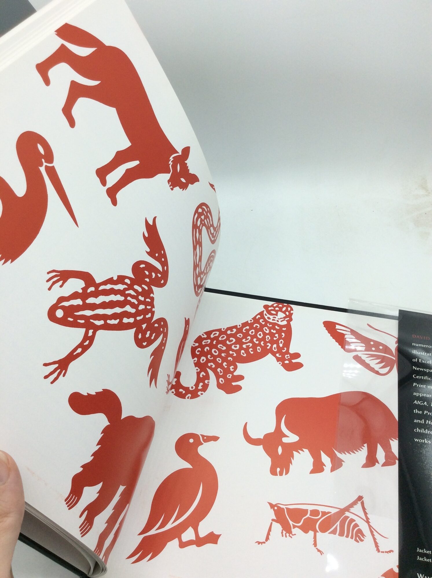 GONE WILD: An Endangered Animal Alphabet | David McLimans | 1st