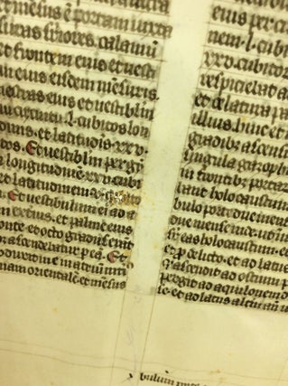 MANUSCRIPT LEAF FROM A MEDIEVAL BIBLE IN THE LATIN VULGATE