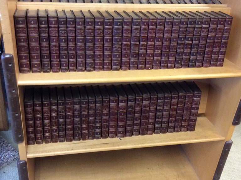 Item #177010 WAVERLEY NOVELS (48-volume set). Sir Walter Scott.