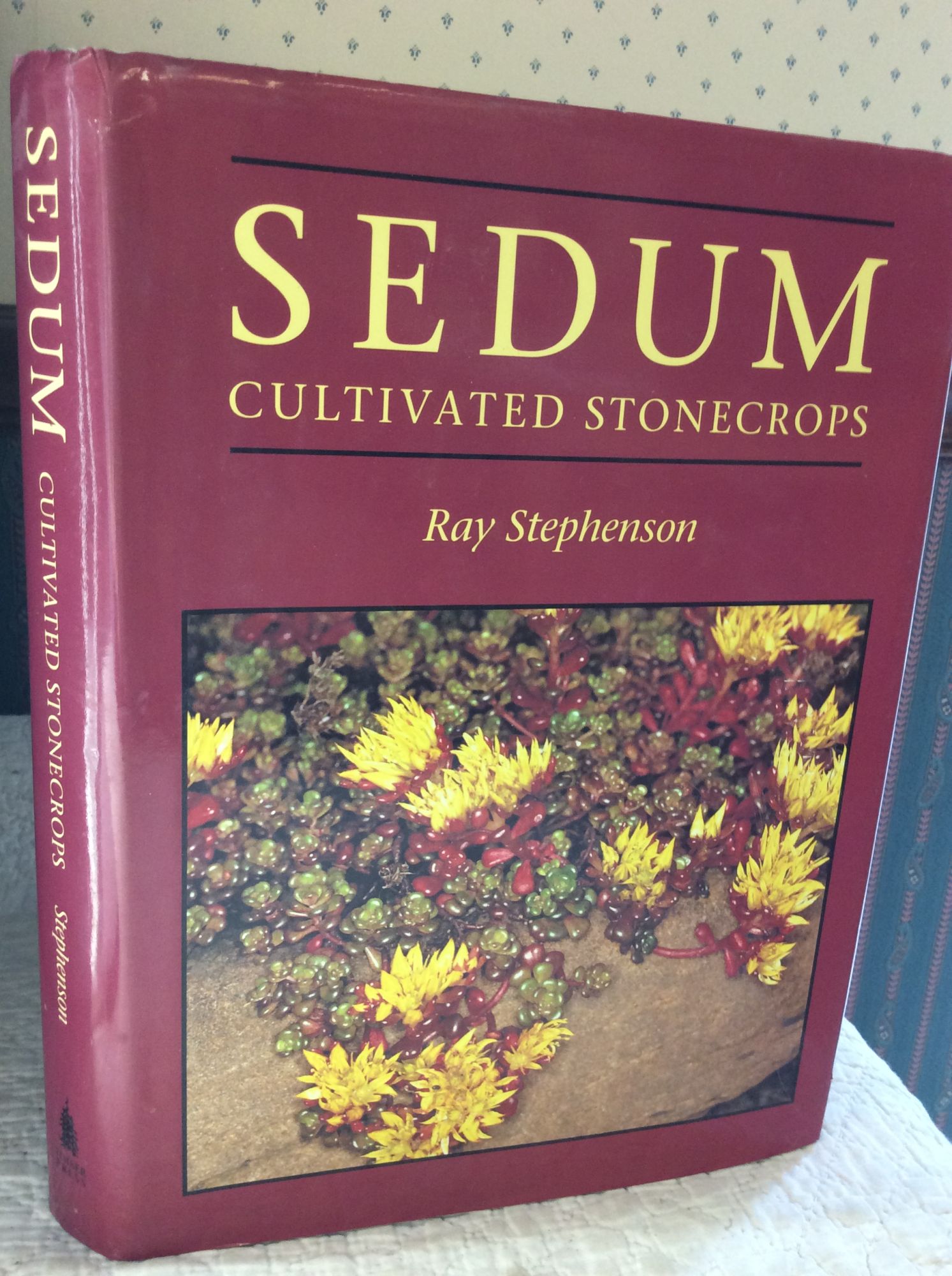 Ray Stephenson - Sedum: Cultivated Stonecrops