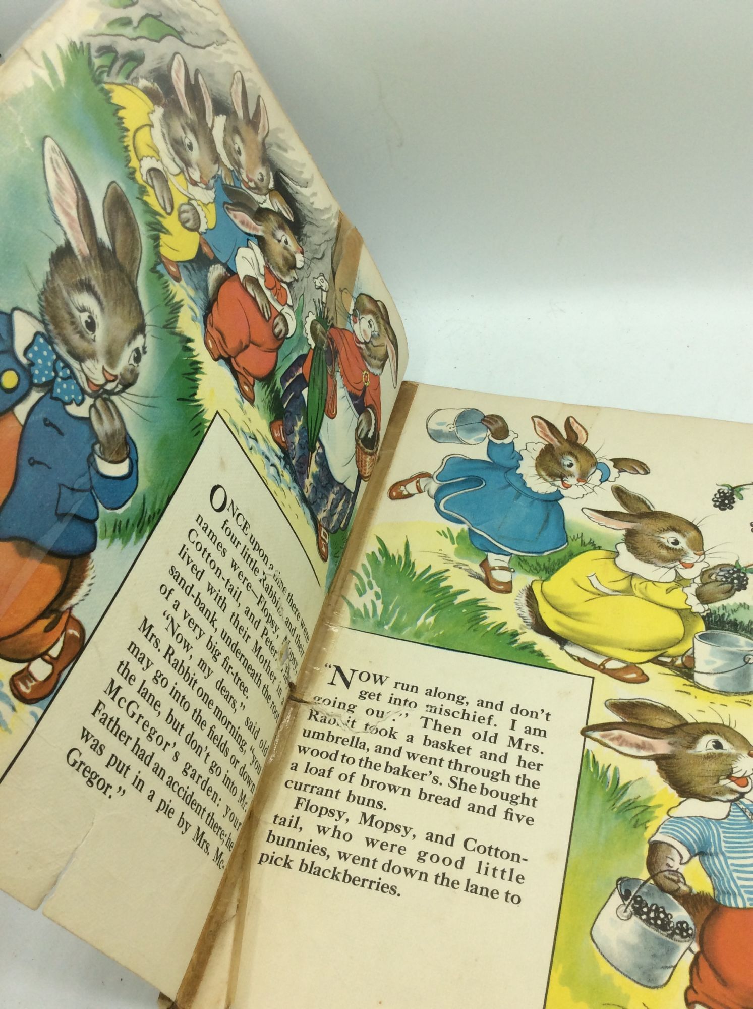 THE TALE OF PETER RABBIT | illustrations Milo Winter