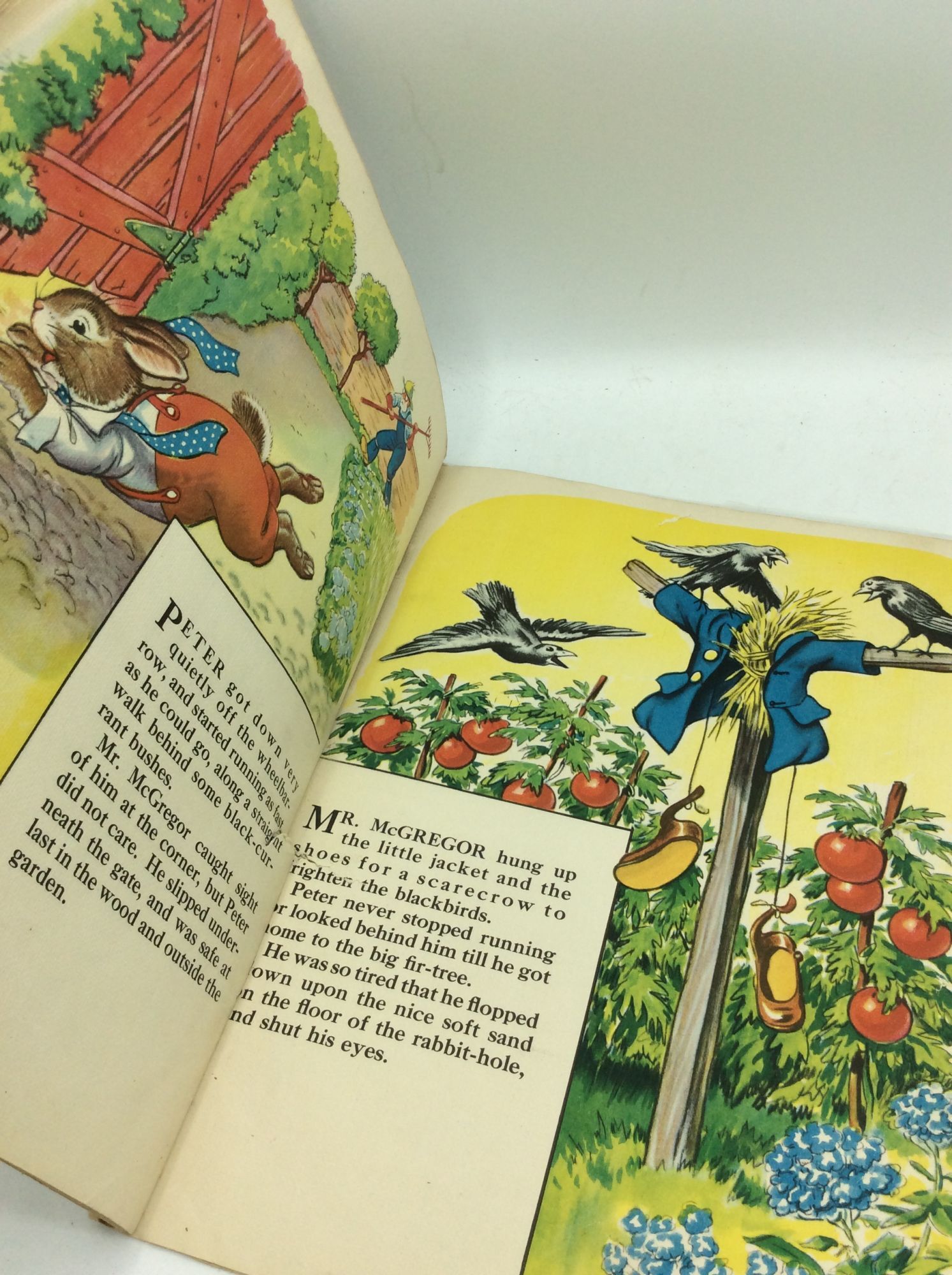 THE TALE OF PETER RABBIT | illustrations Milo Winter