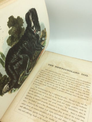 THE ILLUSTRATED BOOK OF NATURAL HISTORY, Part II