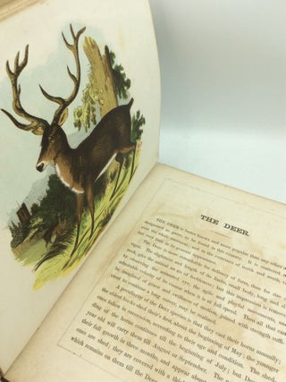 THE ILLUSTRATED BOOK OF NATURAL HISTORY, Part II
