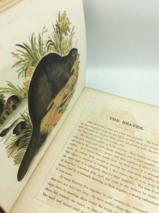 THE ILLUSTRATED BOOK OF NATURAL HISTORY, Part II