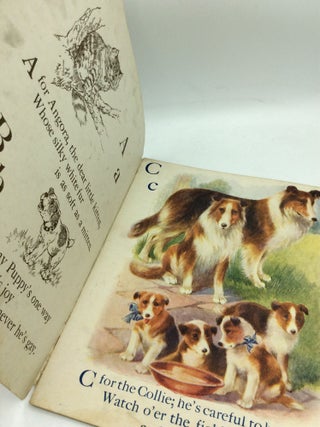 KITTENS AND PUPPIES A.B.C.