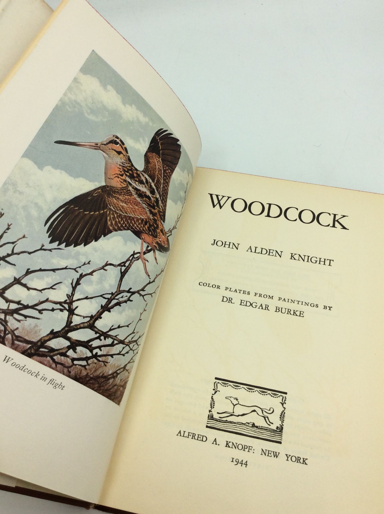WOODCOCK | John Alden Knight | First Edition, First Printing