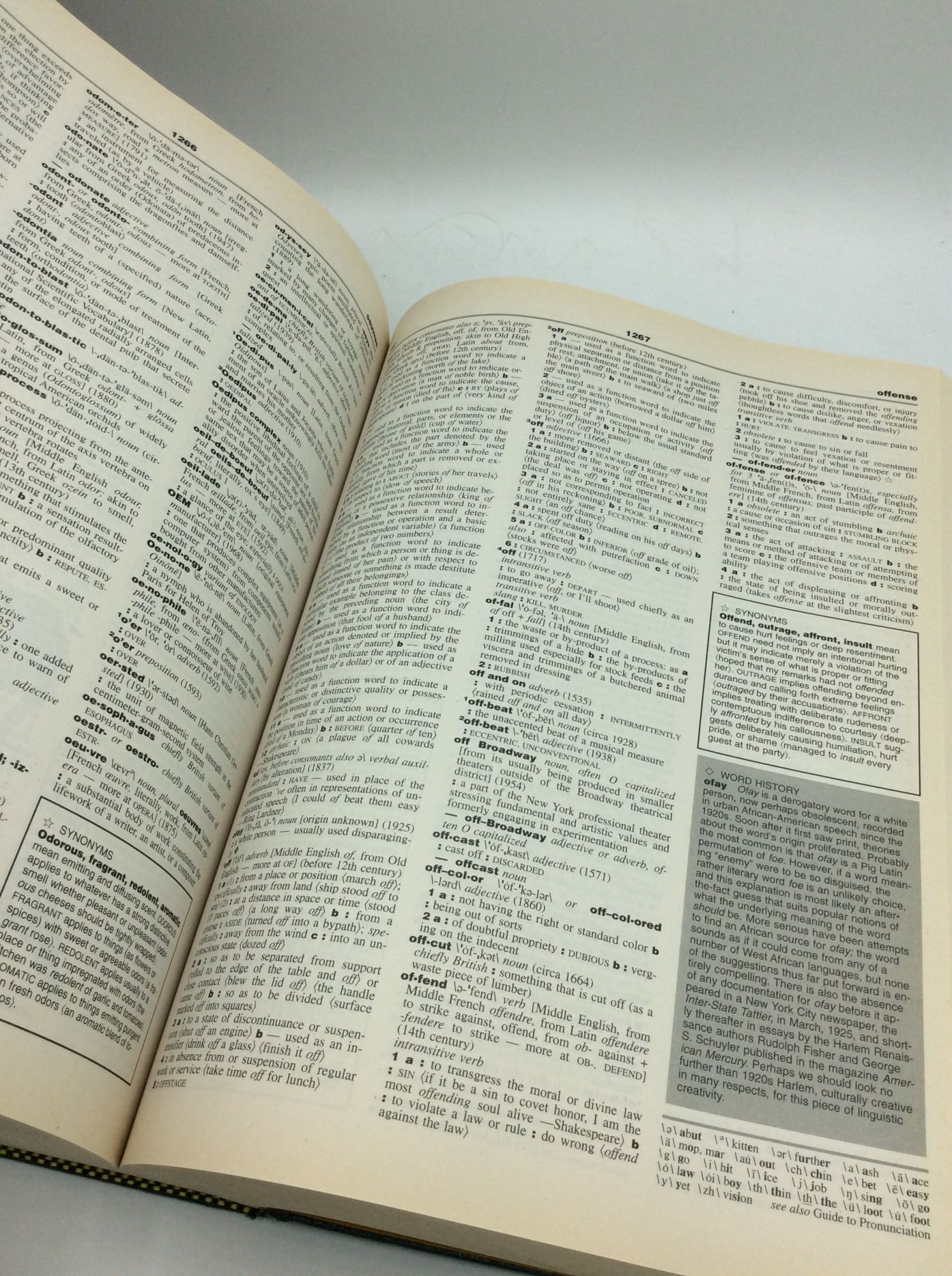 WEBSTER'S NEW ENCYCLOPEDIC DICTIONARY | of Merriam-Webster