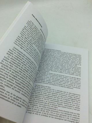 EL IMPULSO DEL ESPIRITU: Guia para una lectura comunitaria de los Hechos de los Apostoles - Libro de Animador