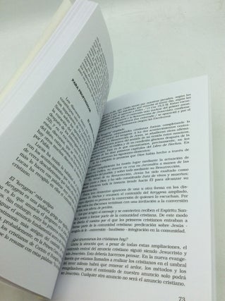EL IMPULSO DEL ESPIRITU: Guia para una lectura comunitaria de los Hechos de los Apostoles - Libro de Animador