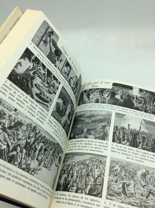 BIBLIA EN IMAGENES