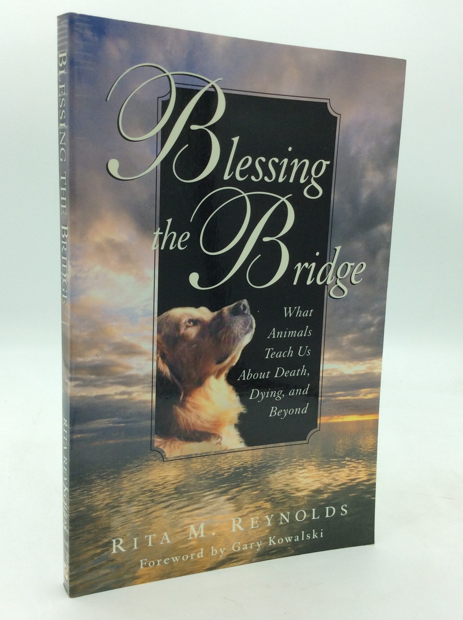 BLESSING THE BRIDGE: What Animals Teach Us About Death, Dying, and ...