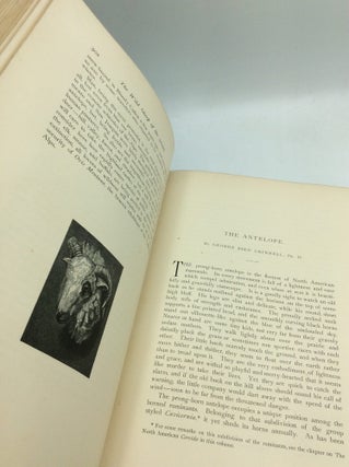 SPORT WITH GUN AND ROD In American Woods and Waters