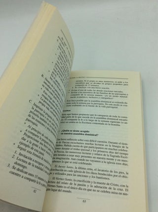 LA CATEQUESIS DE TODA LA COMUNIDAD: Hacia una Catequesis por Todos, con Todos y para Todos