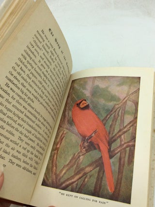 THE SONG OF THE CARDINAL