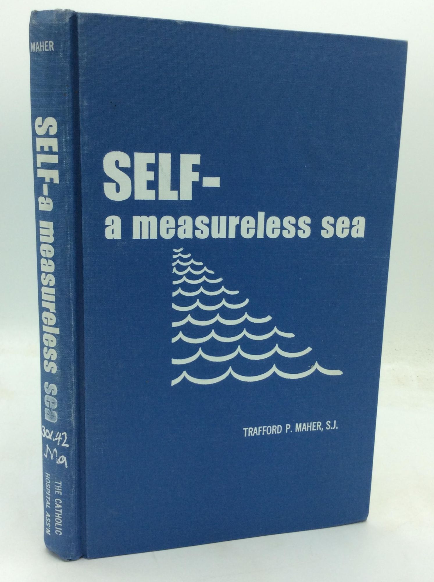 SELF -- A MEASURELESS SEA Counseling: Theory and Practice | Trafford P ...