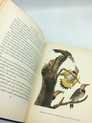 AUDUBON