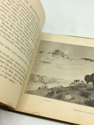 STUDIES OF WESTERN LIFE.
