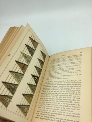 RUSKIN'S WORKS, Volumes I-XII