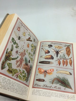 THE GARDENER'S BUG BOOK