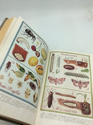 THE GARDENER'S BUG BOOK