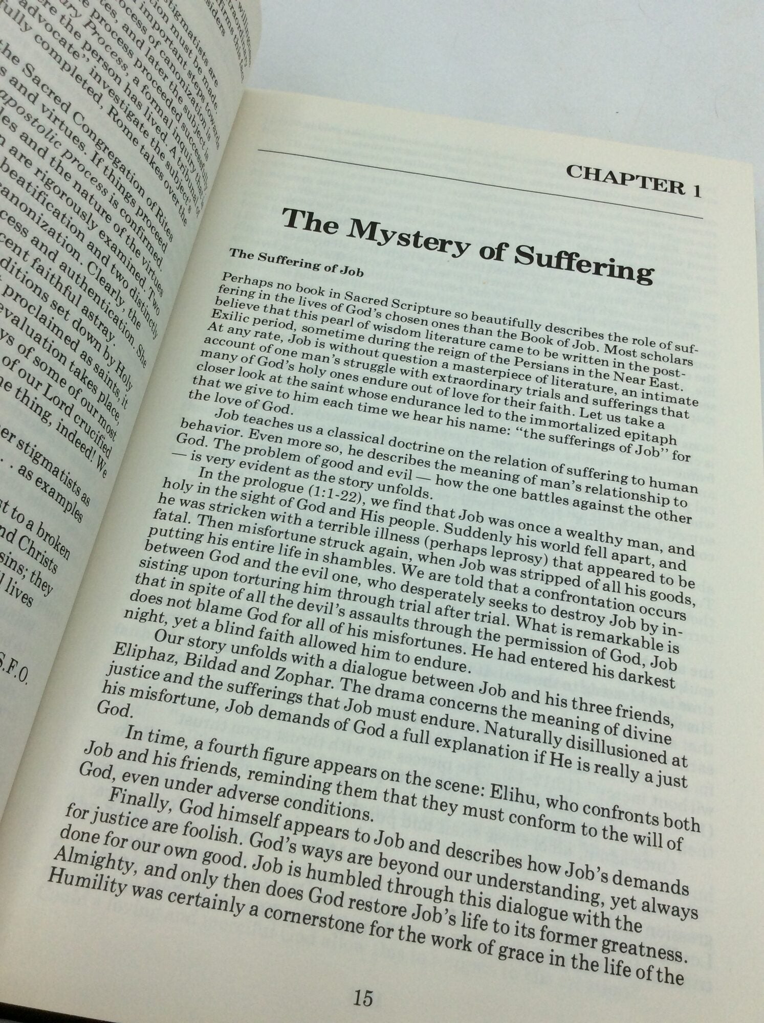 THEY BORE THE WOUNDS OF CHRIST: The Mystery of the Sacred Stigmata ...