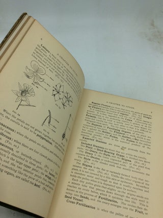 A GUIDE TO THE WILD FLOWERS