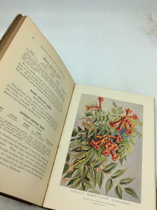 A GUIDE TO THE WILD FLOWERS