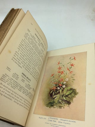 A GUIDE TO THE WILD FLOWERS