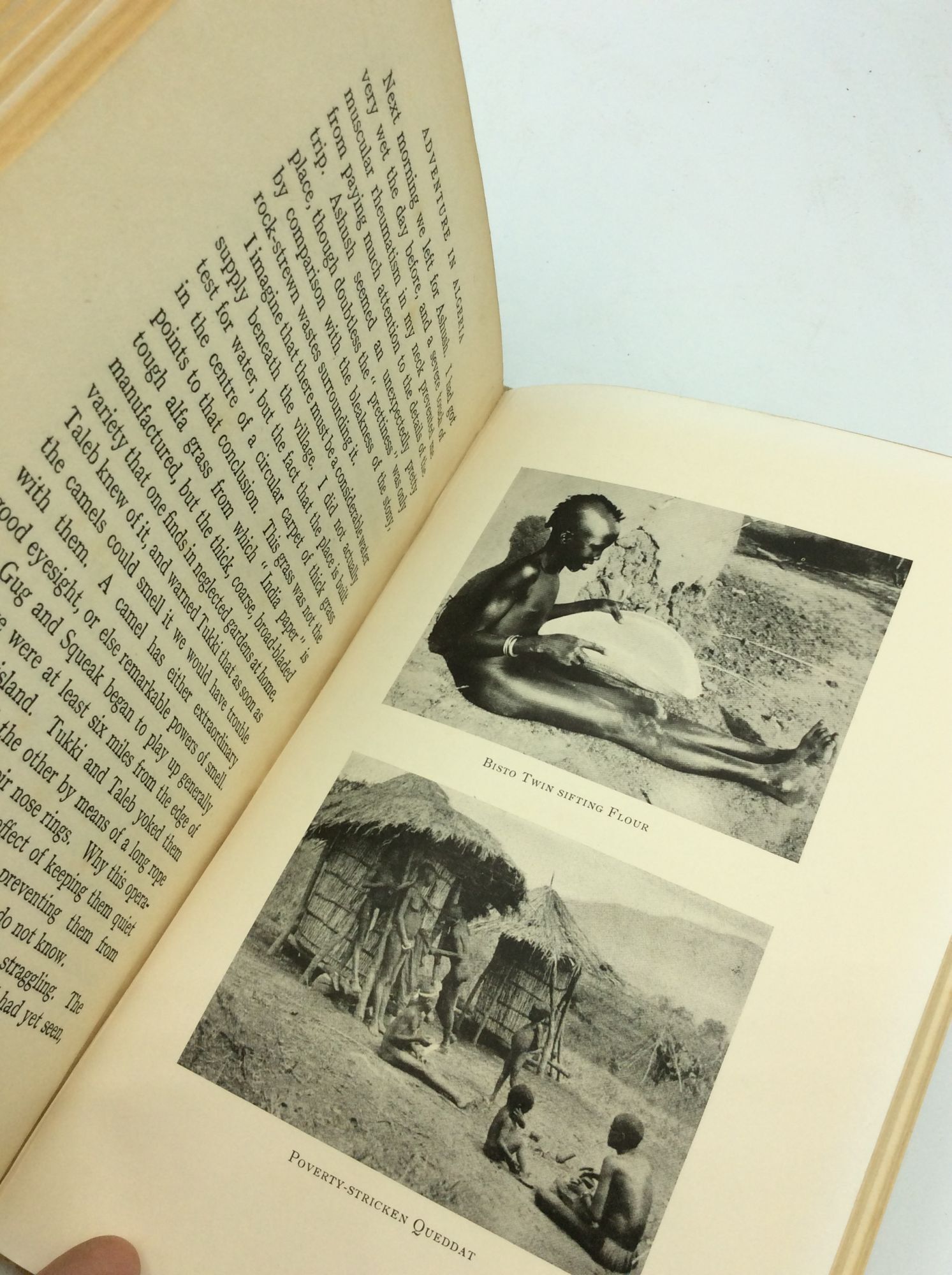 ADVENTURE IN ALGERIA | Brian Stuart | First edition